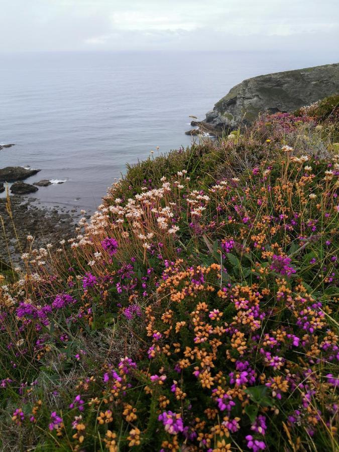 Captivating Isolde Cottage With Pool Near St Ives Camborne Exteriör bild